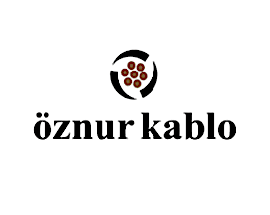 Öznur Elektrik